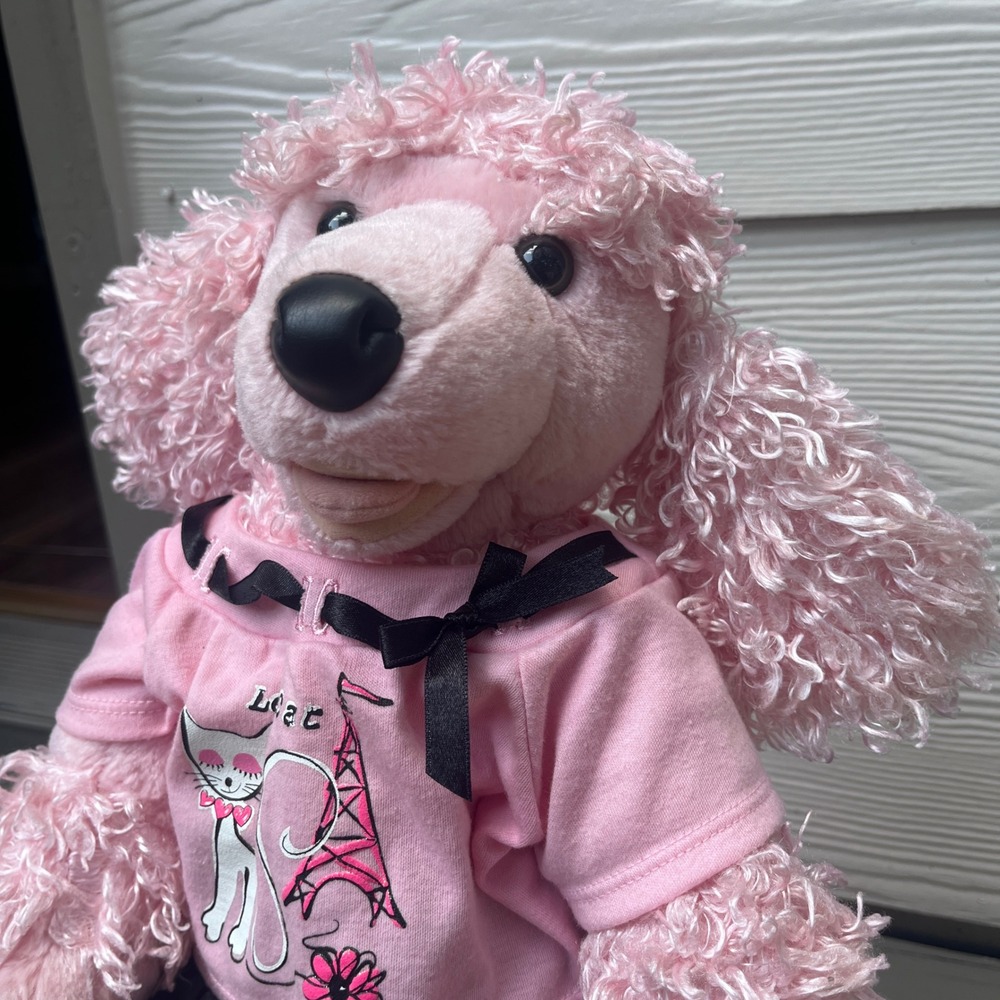 Build-A-Bear Poodle Plush Kids 18" Pink Excellent Paris Le Cat Shirt Skirt